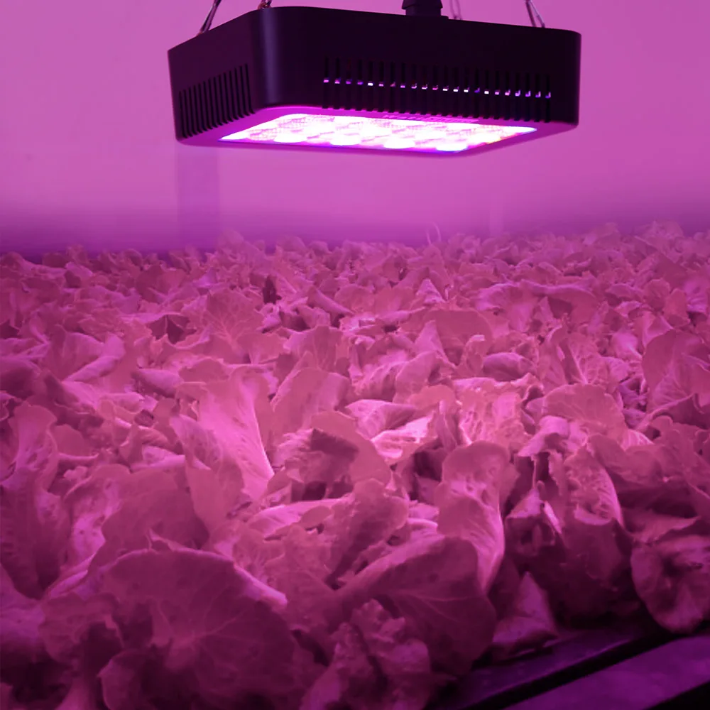 High PAR Value 450W led grow light Full spectrum for plant growing Indoor plants lamps Hydroponics lighting Double chip 10W  (46)