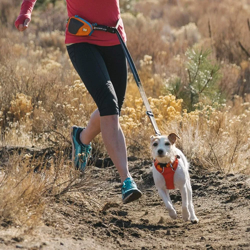 RUFFWEAR-Hi& Light, повседневный легкий поводок для собак, беговая дорожка, ходьба, Пешие прогулки, одежда на весь день