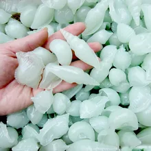 Free shipping free shipping Conch shells emitting luminous decorative aquarium fish tank decoration Free shipping free shipping Conch shells emitting luminous decorative aquarium fish tank decoration