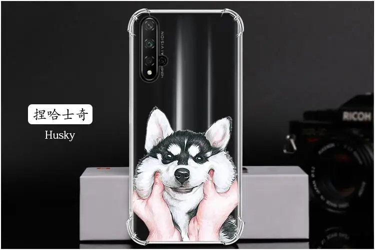 捏哈士奇 Husky