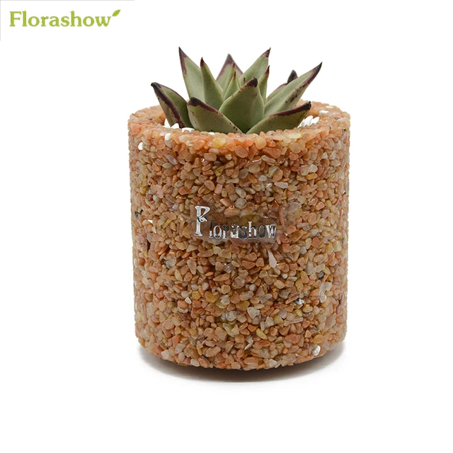 Florashow Flower Pot Meaty Plants Mini Succulents Pots Natural Florashow Flower Pot Meaty Plants Mini Succulents Pots Natural Dongling Modern Indoor Decor Small Nursery
