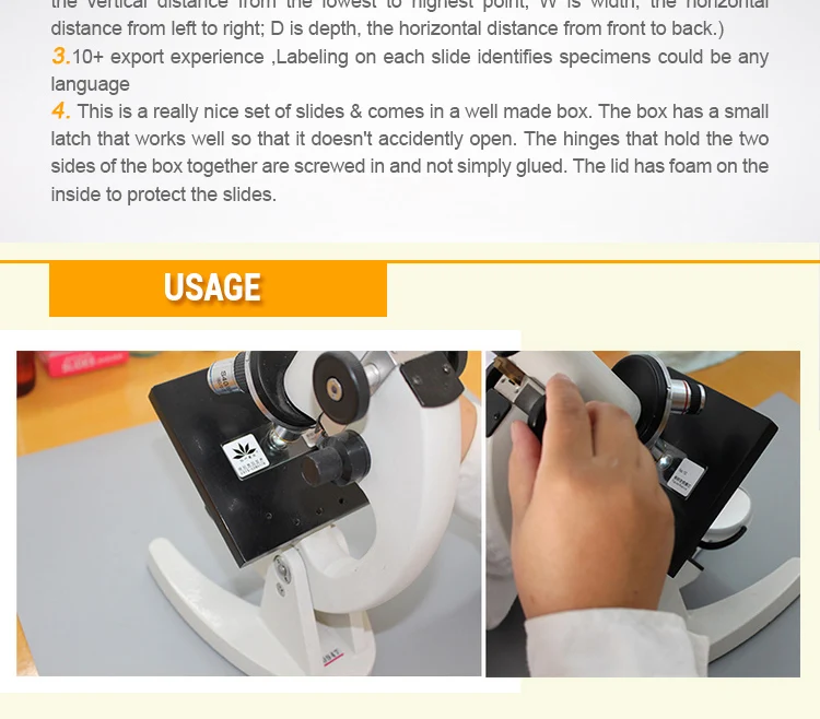 cells Microscope slides (7)