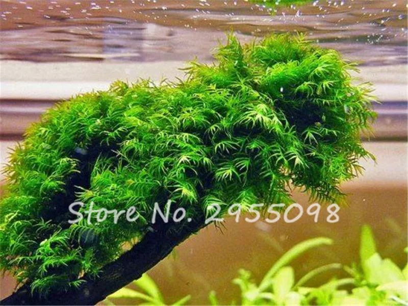 6b282980a763b726dffa52f88db72208