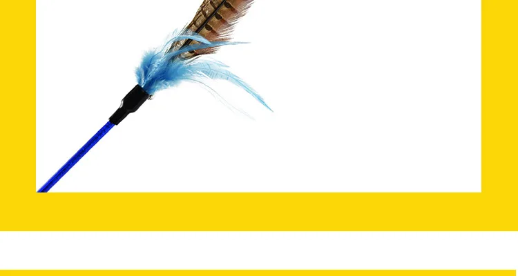 山鸡尾_19