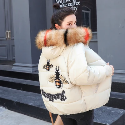 

White Down Jacket 4 Colors Female Short Coat 2018 Winter New Fashion 90 Percent Duck Big Fur Collar Thick Coat Korean Style
