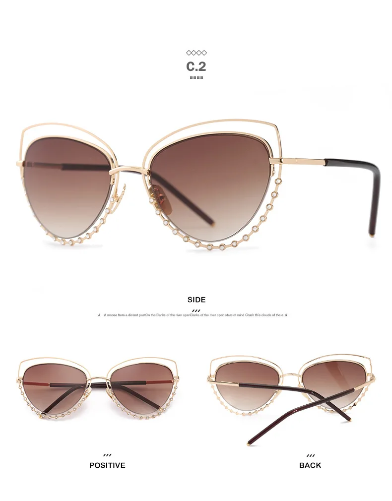 3927184581_810483317