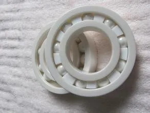 

High quality 6005 full ZrO2 ceramic deep groove ball bearing 25x47x12mm for Electroplating Equipment