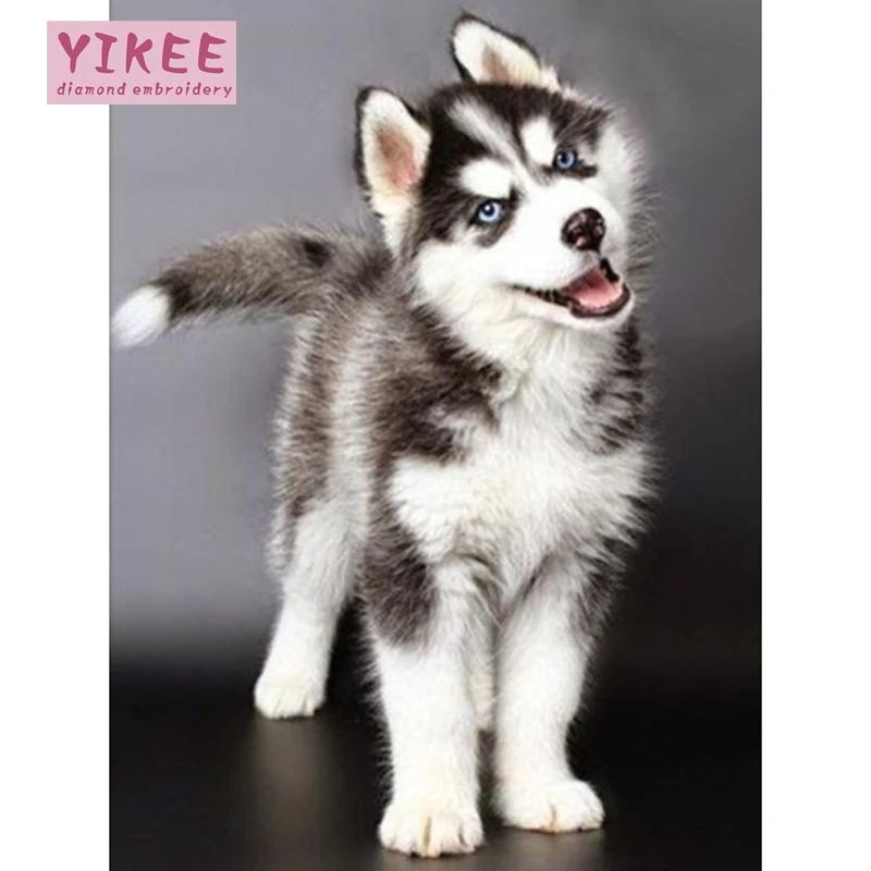 

5d diamond mosaic,dog,diamond full painting,diamond painting husky