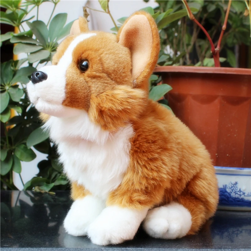 small corgi plush