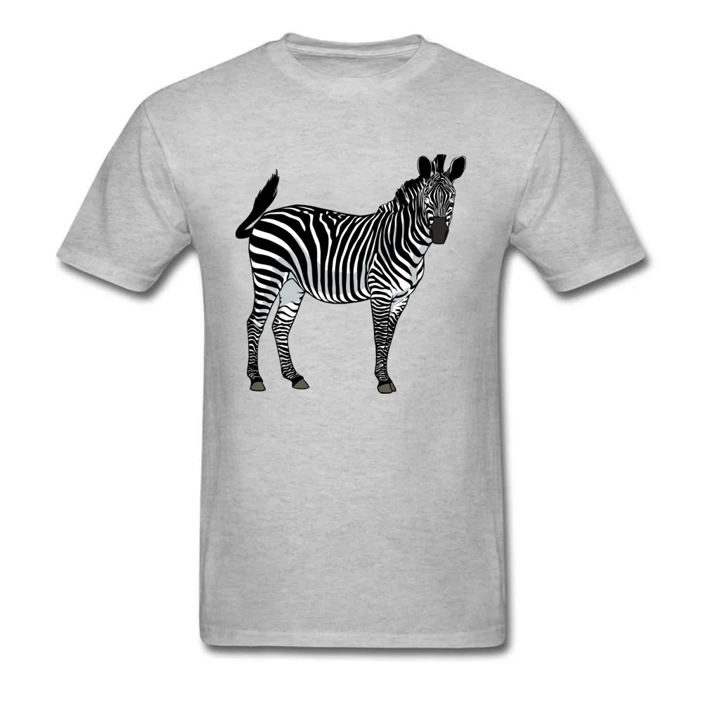 zebra-png-image-2123_grey