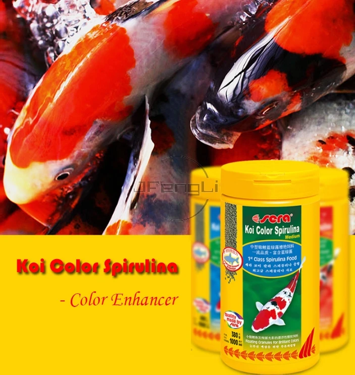 Сера кои цвет Спирулина основные Koi средние рыбы Еда для Японии koicryprinus Carpiod
