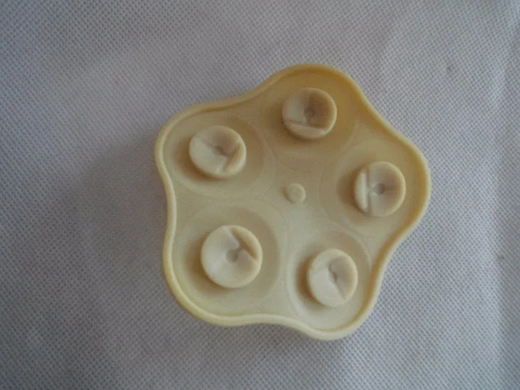 diaphragm2