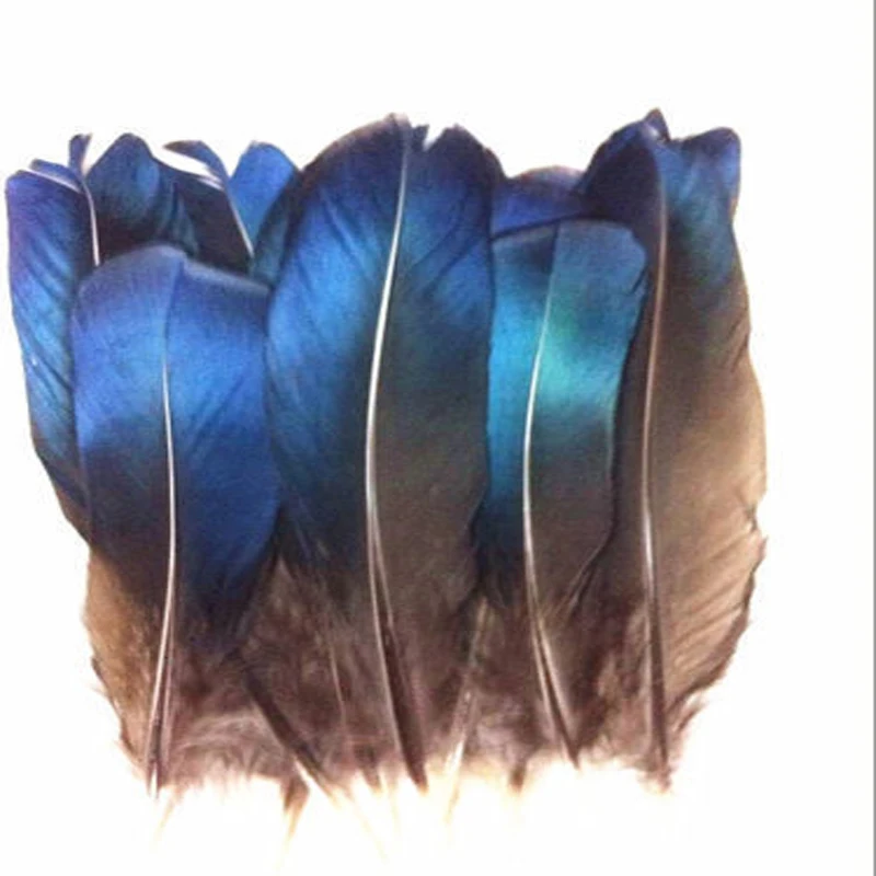 

Featured Quality 10 pcs blue feathers ticket 12-16cm/5-7inch