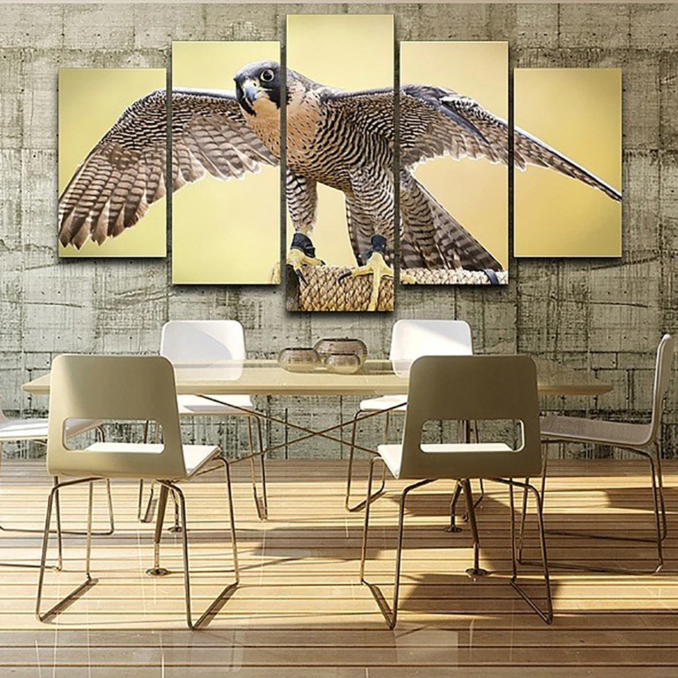 HTB1CzScOVXXXXc8XXXXq6xXFXXXg