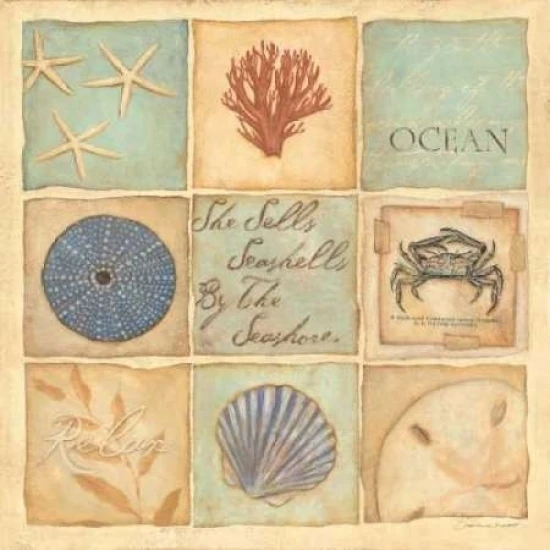 Coastal Collage II Poster Print by Stephanie Marrott (12 x 12)