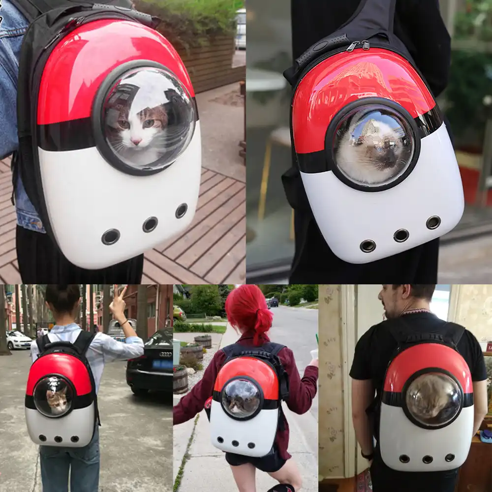 pokemon pet carrier