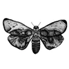 Hot Sale Arm-Sticker Tattoo-Sleeve Henna-Tattoo Moths Harajuku Waterproof Body Men 6MLVkmo3