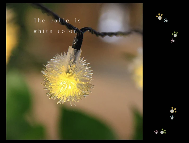 3894698152_105339224