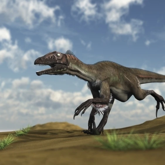 Utahraptor running across a desert Poster Print (18 x 10)