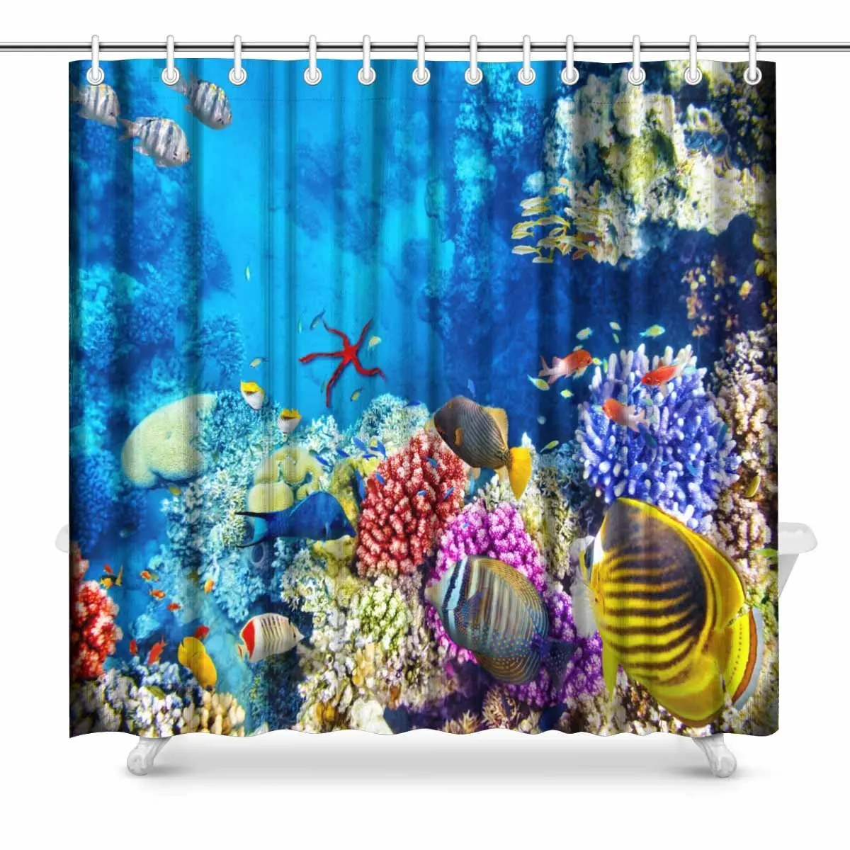Aplysia Wonderful and Beautiful Underwater World with Corals and