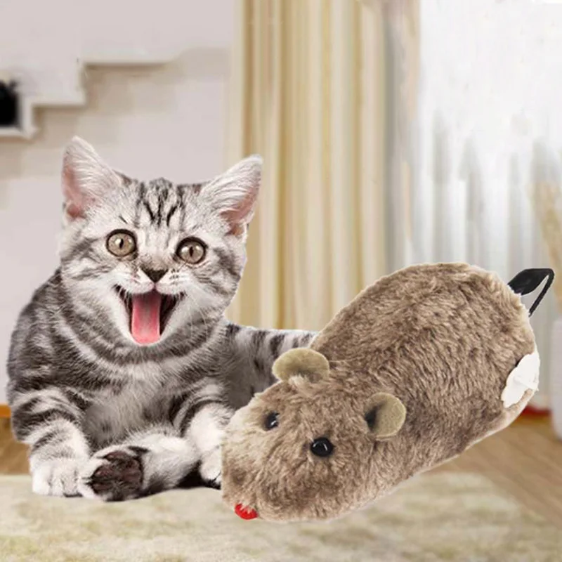 9542643802_1326789240