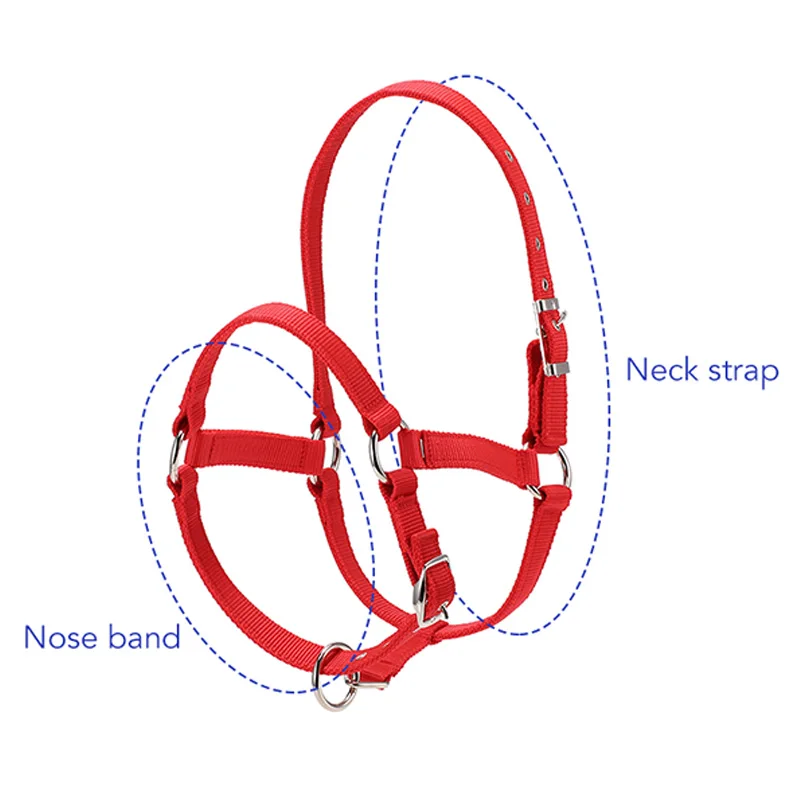 6 мм утолщение верховой езды прочный конский головной воротник Висячие шеи конские поводки оборудование для верховой езды Висячие шеи