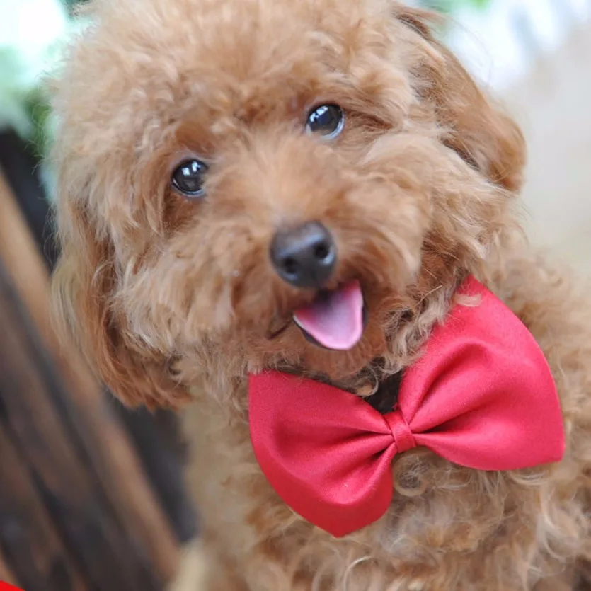 

1 Piece Adjustable Dog Cat Bow Tie Neck Tie Pet Dog Bow Tie Puppy Bows Pet Bow Tie Different Colors Supply 2019 Hot Sale