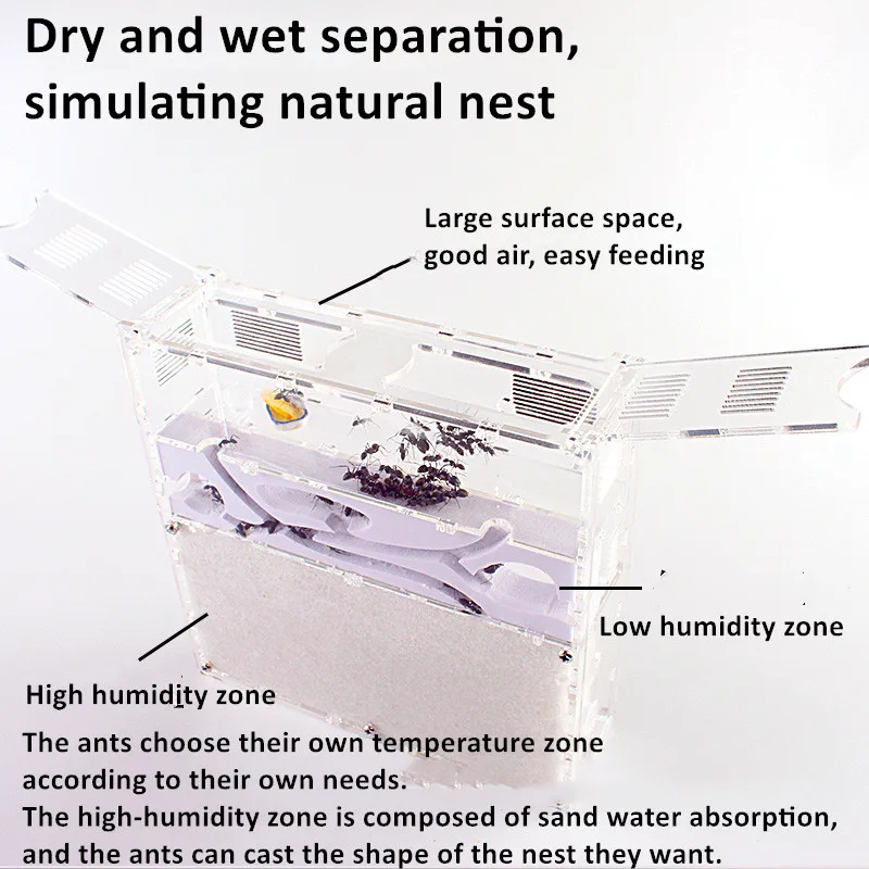 Ant Acrylic Combo Hybrid Sand Nest Ant Farm Ant Formicarium Ant Housing Ant Farms (2)
