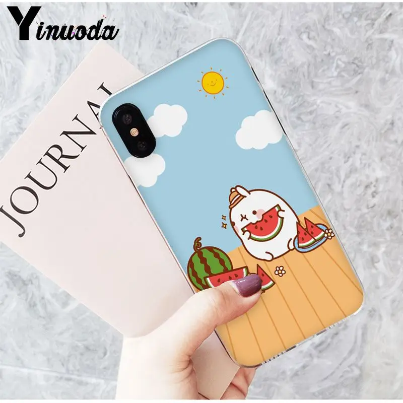 Funny and cute cartoon rabbit