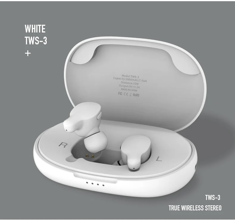 TWS-3_13