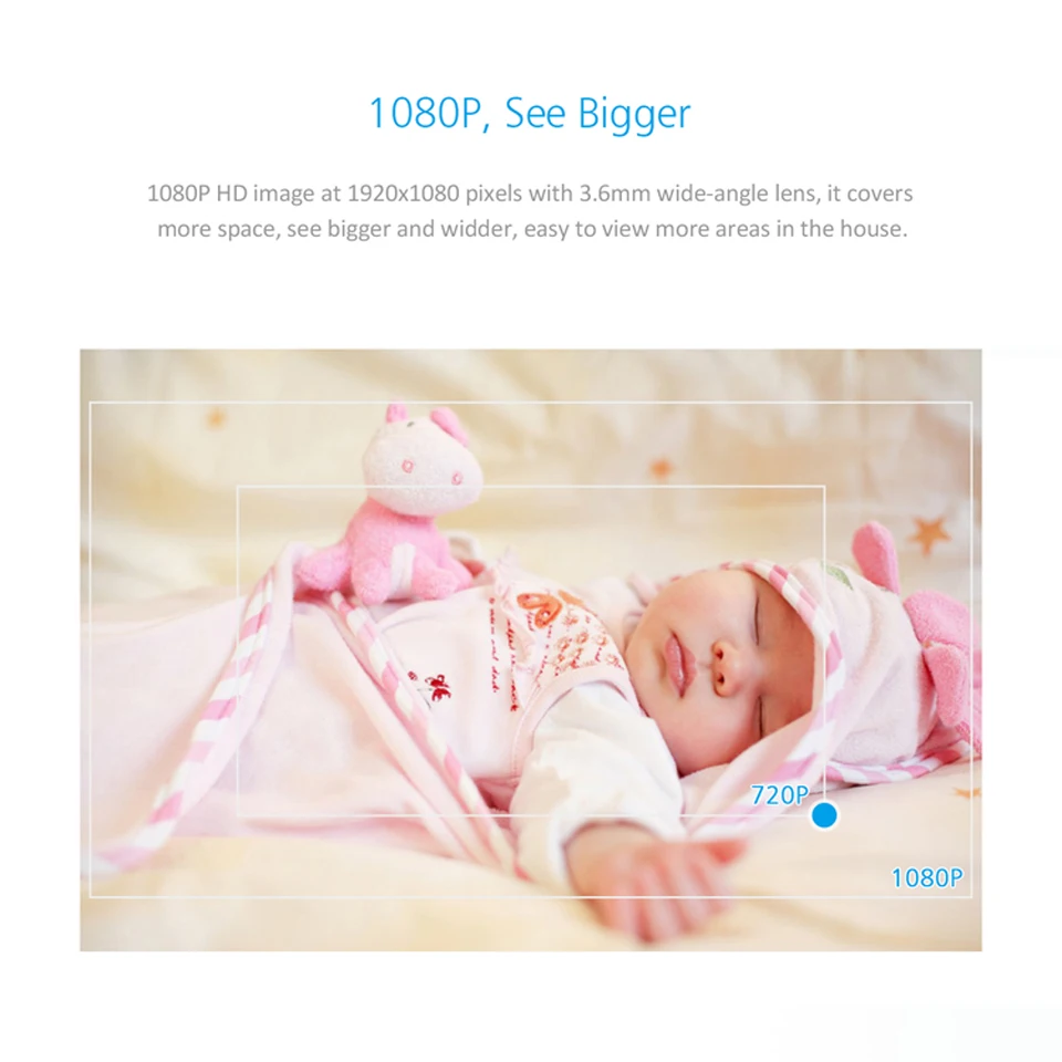 IP Camera-5