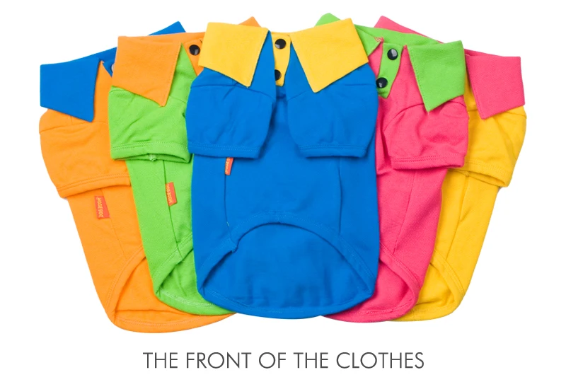 5 dog clothes 
