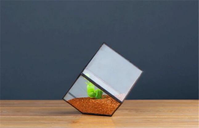 Plant Solder Terrarium 4.jpg