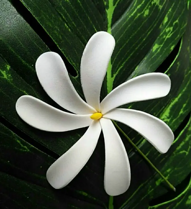 

Free Shipping F114 100pcs/ lot 8 CM Foam tiare hair pick women wear hair accessories Hawaii tropical flower