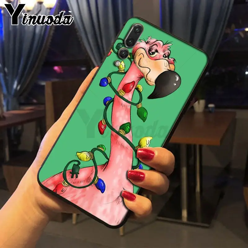 Colorful Flamingo