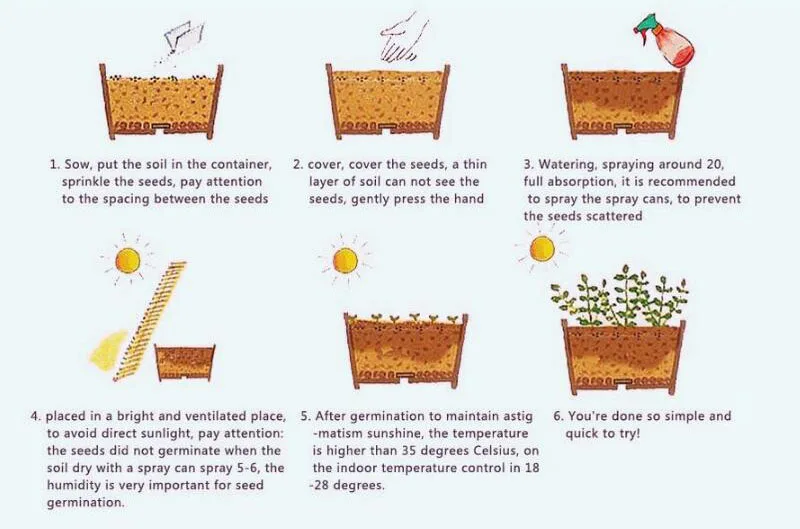 20 шт./пакет Mix Красочные Japanses кленовое дерево Seedplants бонсай растения DIY горшечные растения для дома см балкон