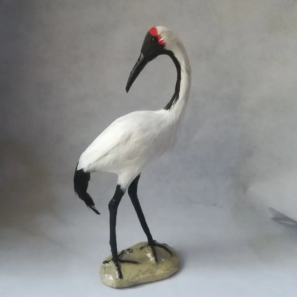 real life toy cute white Red-crowned Crane 35x15cm model polyethylene&furs bird model home decoration props ,model gift d0671 bburago 1 18 ferrari 488 gtb car alloy car model simulation car decoration collection gift toy die casting model boy toy