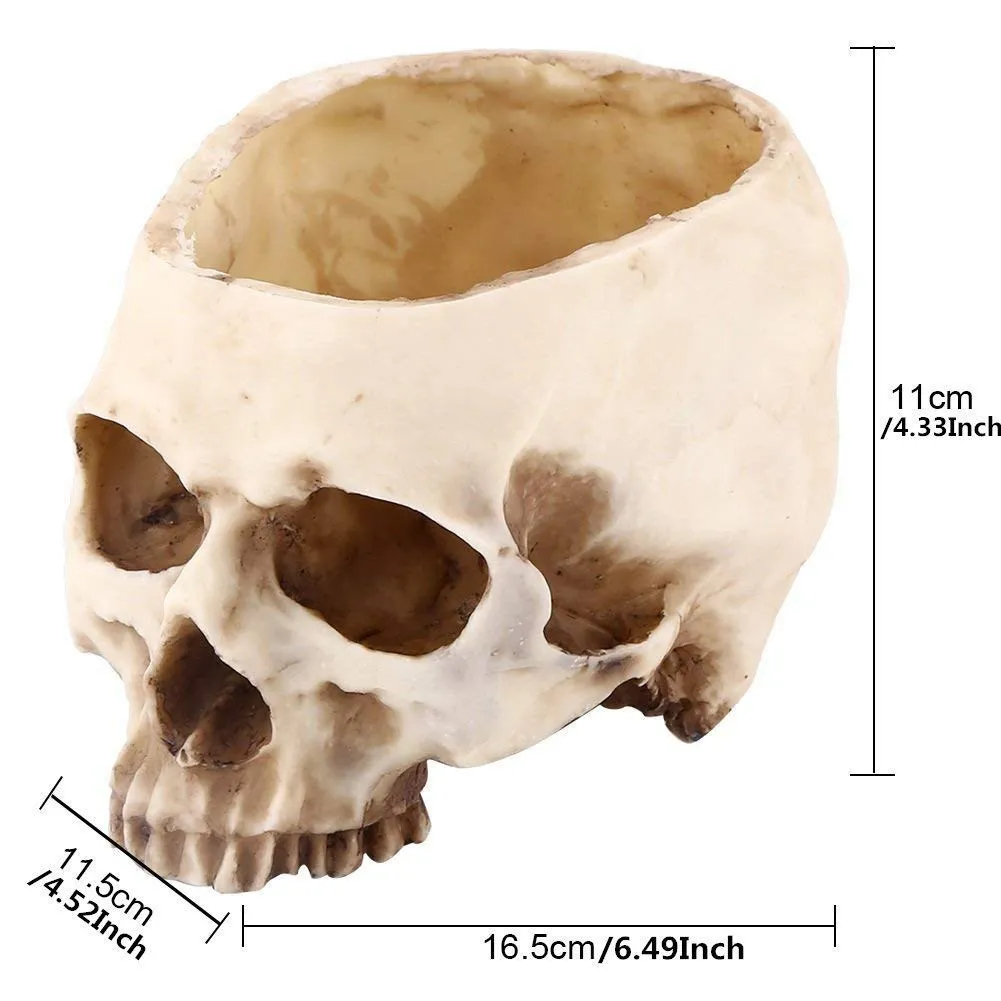 Искусственная Смола череп голова цветочный горшок завод миска-контейнер садовый горшок многофункциональный настольный резервуар для хранения Реплика Skeleto