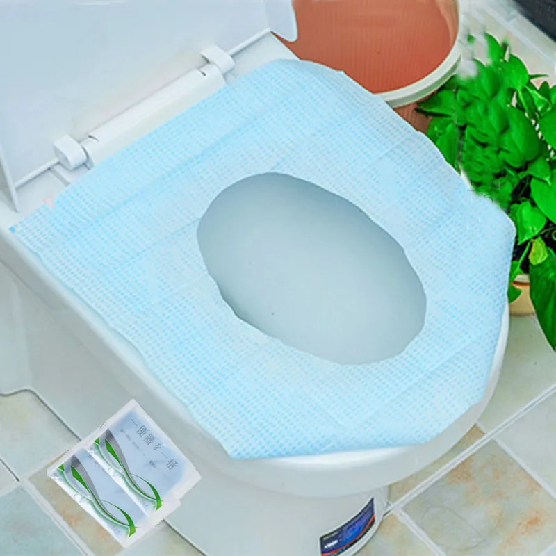 Pregnant Toilet Telegraph