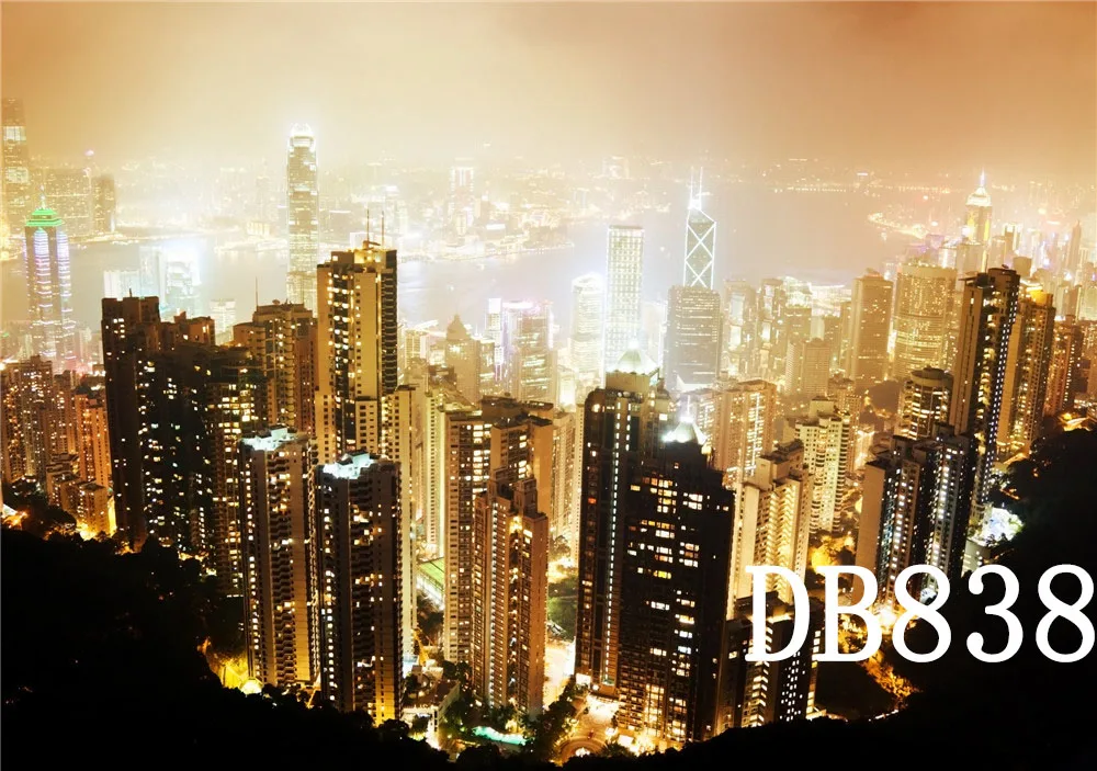 DB838