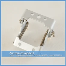 ED DH1416 FE Articulator for FE Dental Model Medical font b Science b font Educational Dental