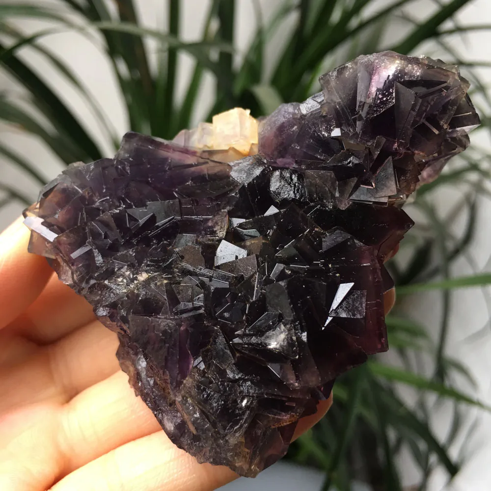 222 г Редкий Натуральный Цветной гроздь кристаллов кварца минеральный пурпурный флюорит образец