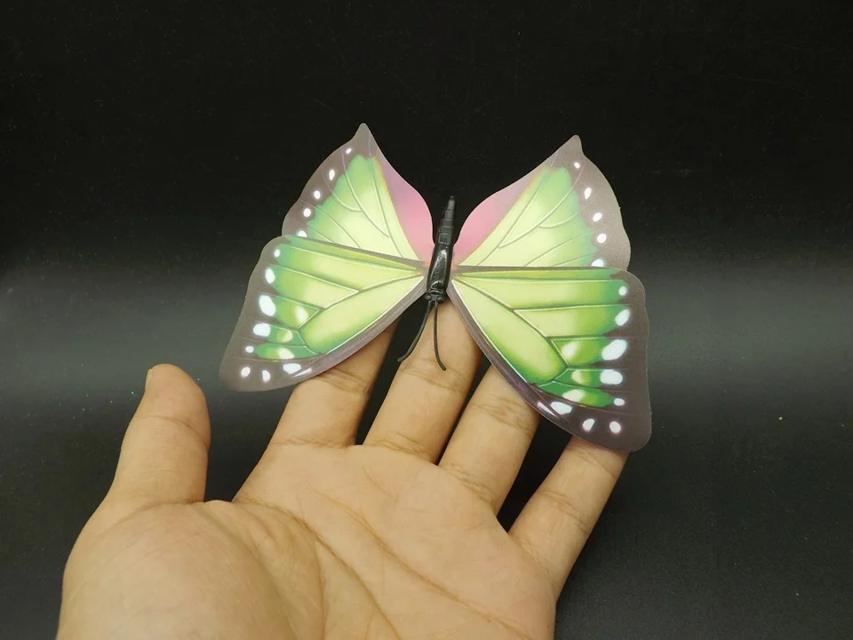I238-Butterfly (3)