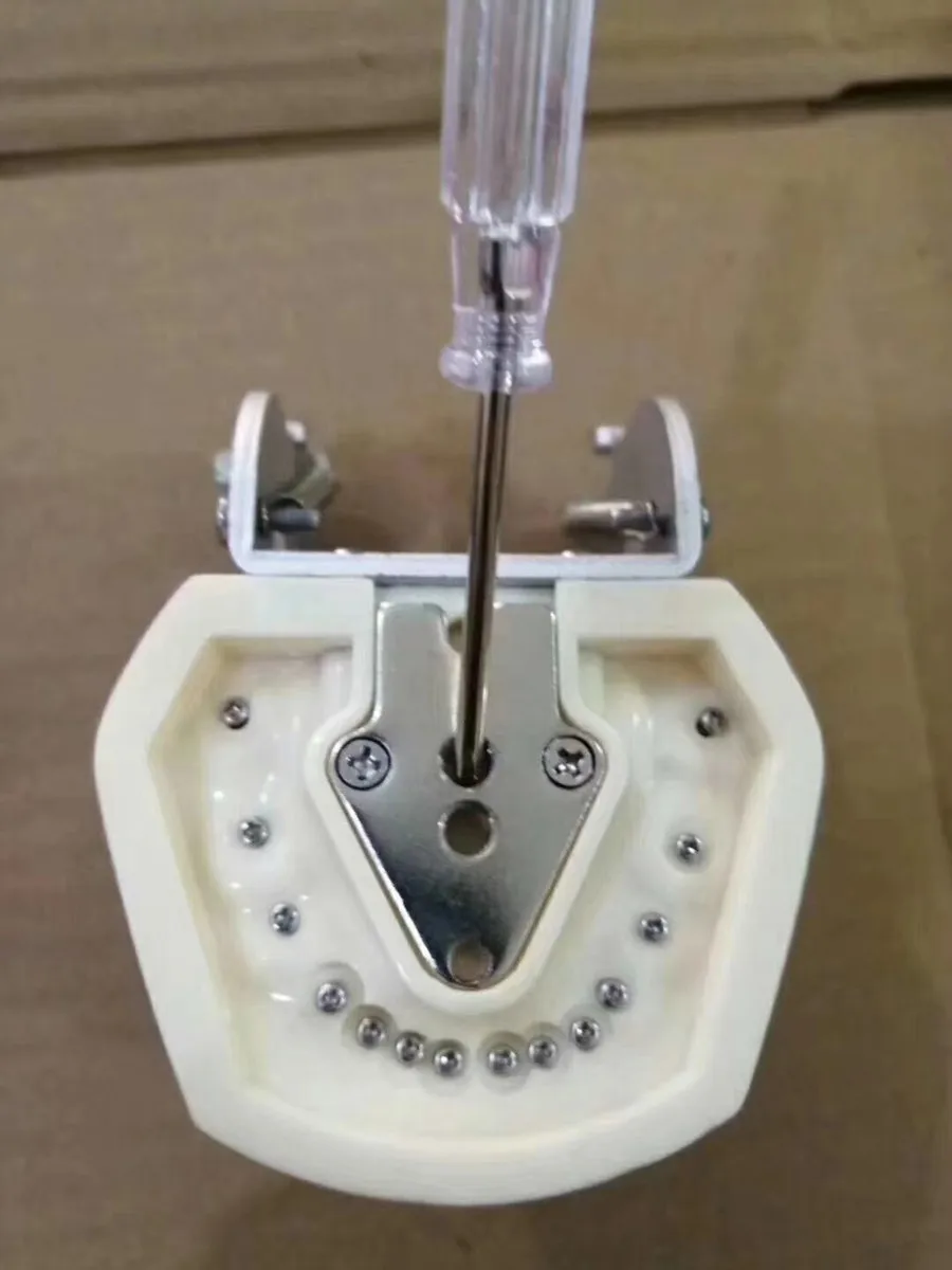 Modelo de Alta Universal tipo Placa Qualidade Dental Removível Dentes Estudo Modelo Dente Cor Amarela 100% 5 100% modelo de alta qualidade dental universal