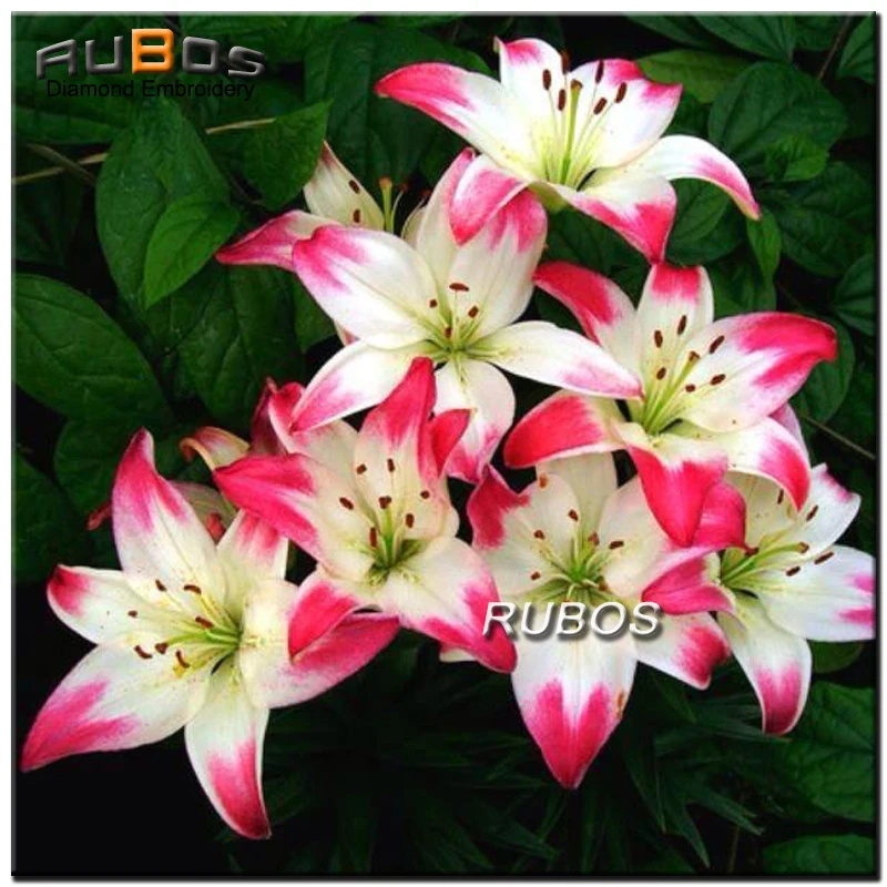 RUBOS DIY 5D diamond painting Lily flower Floral diamond embroidery picture by rhinestone full round embroidered with rhinestone (1)