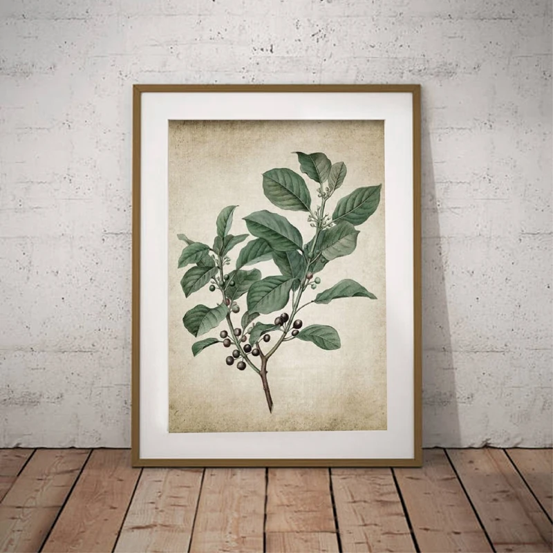 Green Plant Canvas Art Print Home Decor