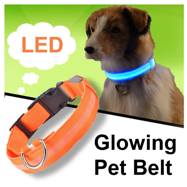 Pet LED Dog Collar Per Cat Nylon Notte di Sicurezza Anti-lost Light Up Lampeggia Pet LED Dog Collar Per Cat Nylon Notte di Sicurezza Anti-lost Light Up Lampeggia