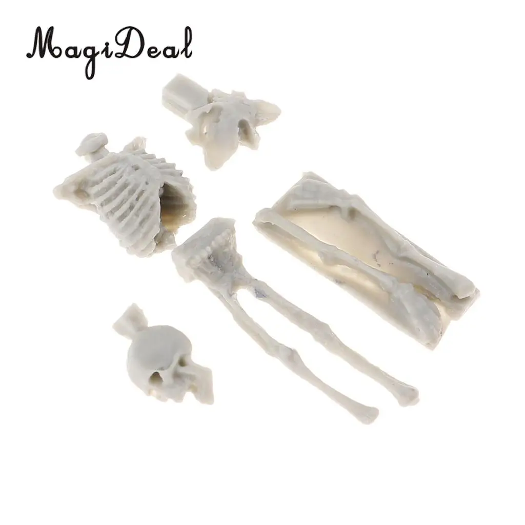 MagiDeal 1Set Unassembly Unpainted Kit 1/35 Scale Resin Skull Skeleton Mini Sand Table Scene for Handmade Art Craft Model Gift
