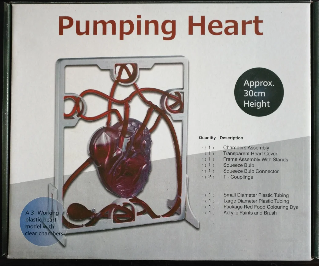QH3304 13 heart blood circulation system model DIY pump heart model