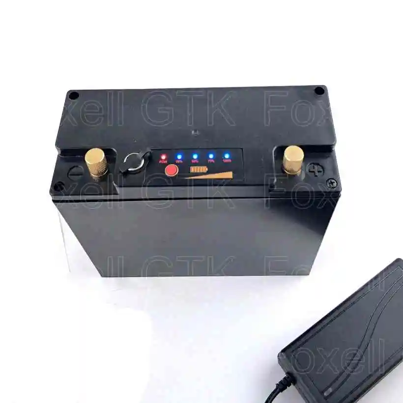 Lifepo4 12V battery pack 12V 20AH BMS for Golf trolly 12.8v 300w motor car camera Portable DC power litio with 14.6v 3A charger (4)